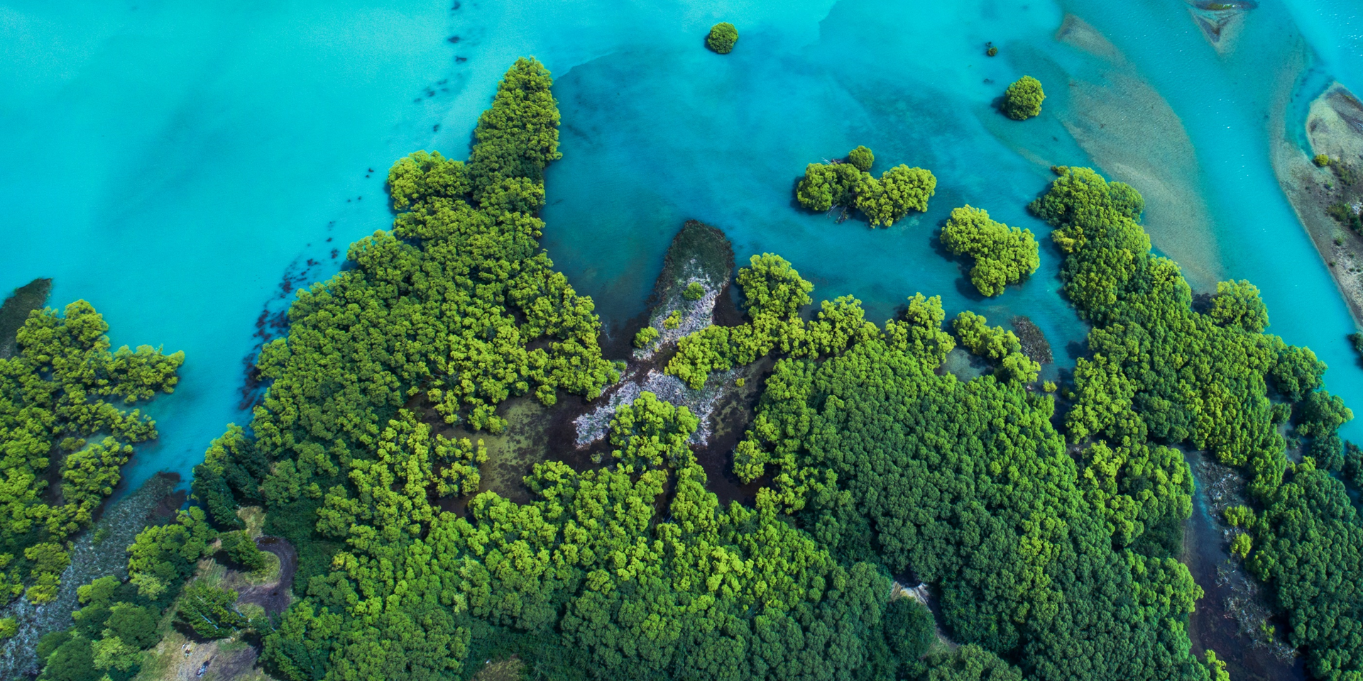 Cencora's 2024 corporate responsibility report