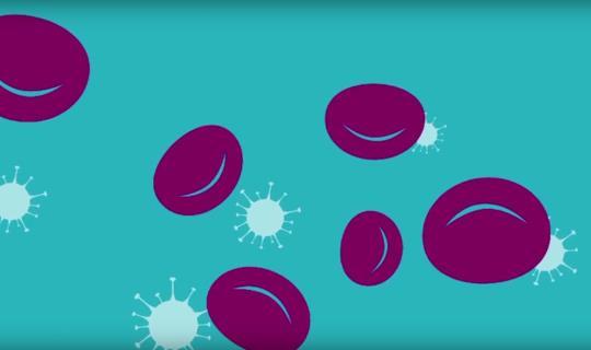 Hemophilia rescue story