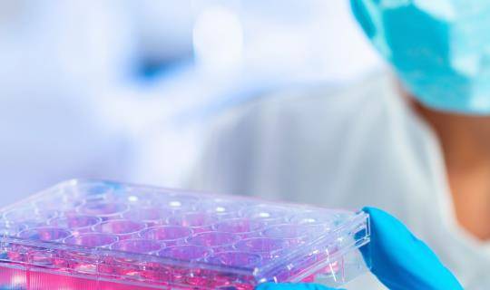 scientist examining samples