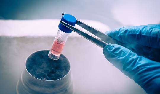 A gloved hand uses forceps to place a vial of liquid into a thermal container surrounded by fog.