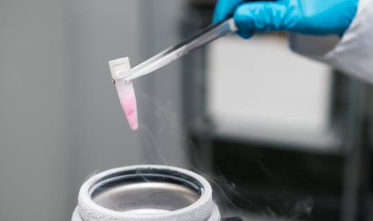 Regulatory article 3