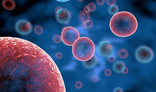 T Cells attacking cancer cells 3D illustration