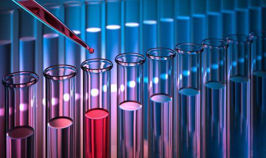 shutterstock_1433546264 LR