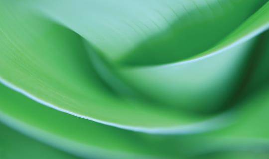 GettyImages-1194375521 LR