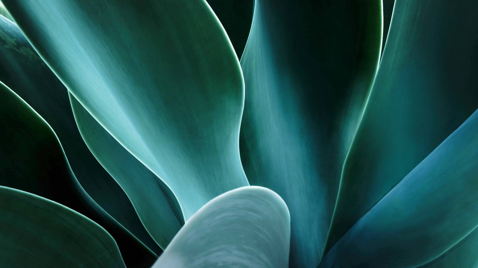 GettyImages-930083406_sRGB LR