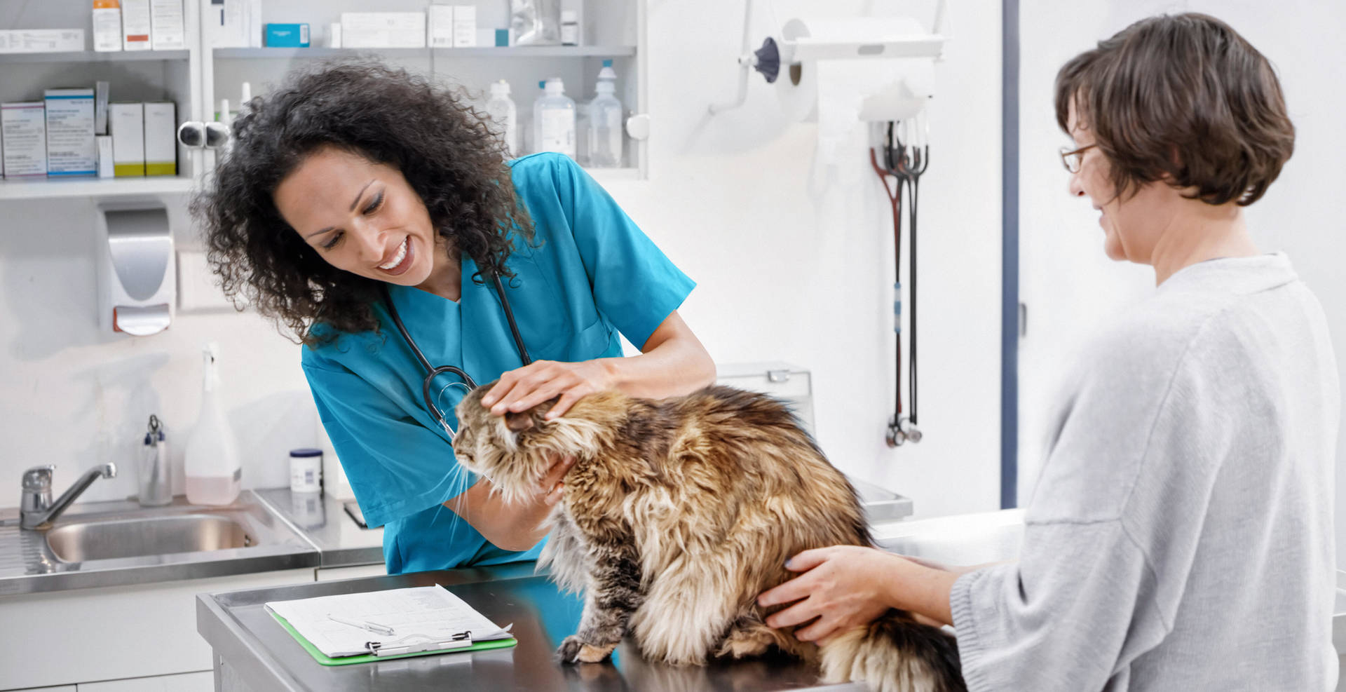 Adding new animal health services enhances your practice