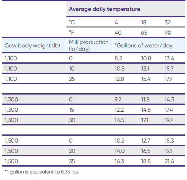Estimating water requirements for mature beef cows