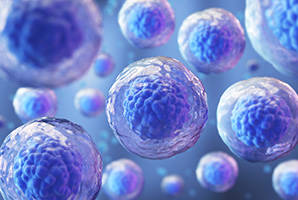 細胞・遺伝子治療のロジスティクスとモダリティの考察