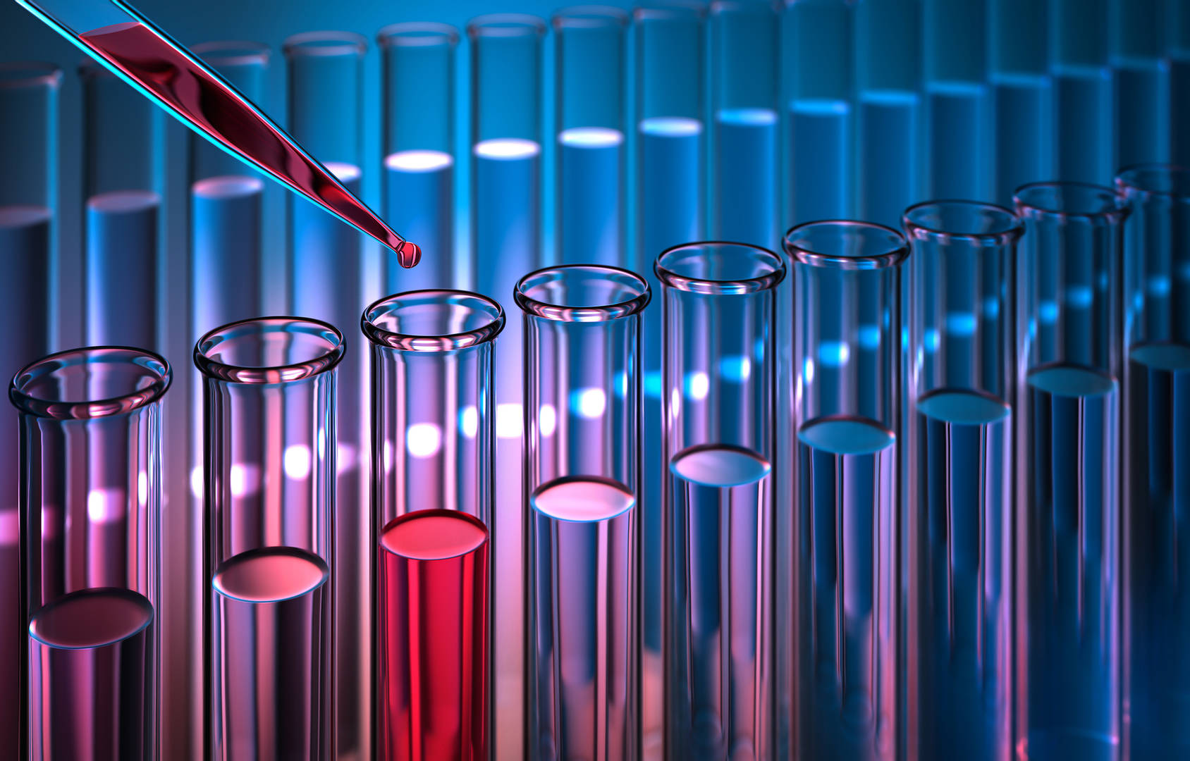 shutterstock_1433546264 LR